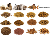 Machine extrudeuse automatique professionnelle pour la fabrication d'aliments pour chiens, capacité de 100 kg/h, ligne de production complète d'aliments pour animaux de compagnie