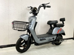 Vélo Électrique en Acier à Haute Teneur en Carbone 14 Pouces, 48V350W Y2-BD, Vente Chaude Usine - Product Image 2