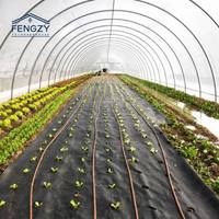 Hydroponische sla-kweek NFT DWC systeem bladgroenteproductie-eenheid kasframe kas