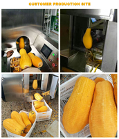 Commerciële elektrische schilmachine voor kiwi's, appels, sinaasappels, citroenen, limoenen, mango's, 300-1000 stuks/uur, groente- en fruitschiller