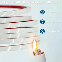 Muestra Gratuita de Tira de Luz LED de Neón Flexible de 24v 12v de Alto Brillo para Letras Luminosas LED DIY, Letreros de Tienda, Luz de Neón para Exteriores