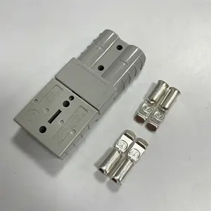 Grey Kleur 2 Pole Voertuigen Batterij Connector 50A 600V Terminal Blok Batterij Plug Socket 2Pins SH50