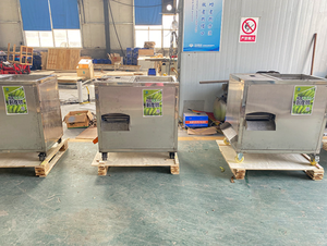 Éplucheuse de bananes plantains PS, machine à éplucher les bananes, haute productivité, 380V, 0.37kW, <span class=keywords><strong>prix</strong></span> vert - Product Image 6
