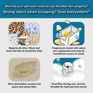 Litière pour chat à faible teneur en poussière (99 %) avec charbon actif pour chat de tous âges - OEM/ODM disponible - Product Image 3