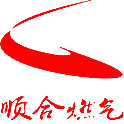 Hebei Shunhe Gas Equipment Co., Ltd. logo