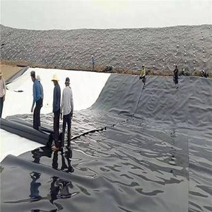 Commercio all'ingrosso della fabbrica 1mm 2mm 3mm HDPE ldpe PVC geomembrana per il sequestro di stagno di pesce lago artificiale per allevamento ittico - Product Image 3