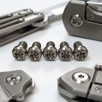 Vis de pivot pour couteau pliant CNC sur mesure, non standard, en acier inoxydable M2 M2.5 M3, Torx, poignée Chicago, fixation métrique, qualité diverses