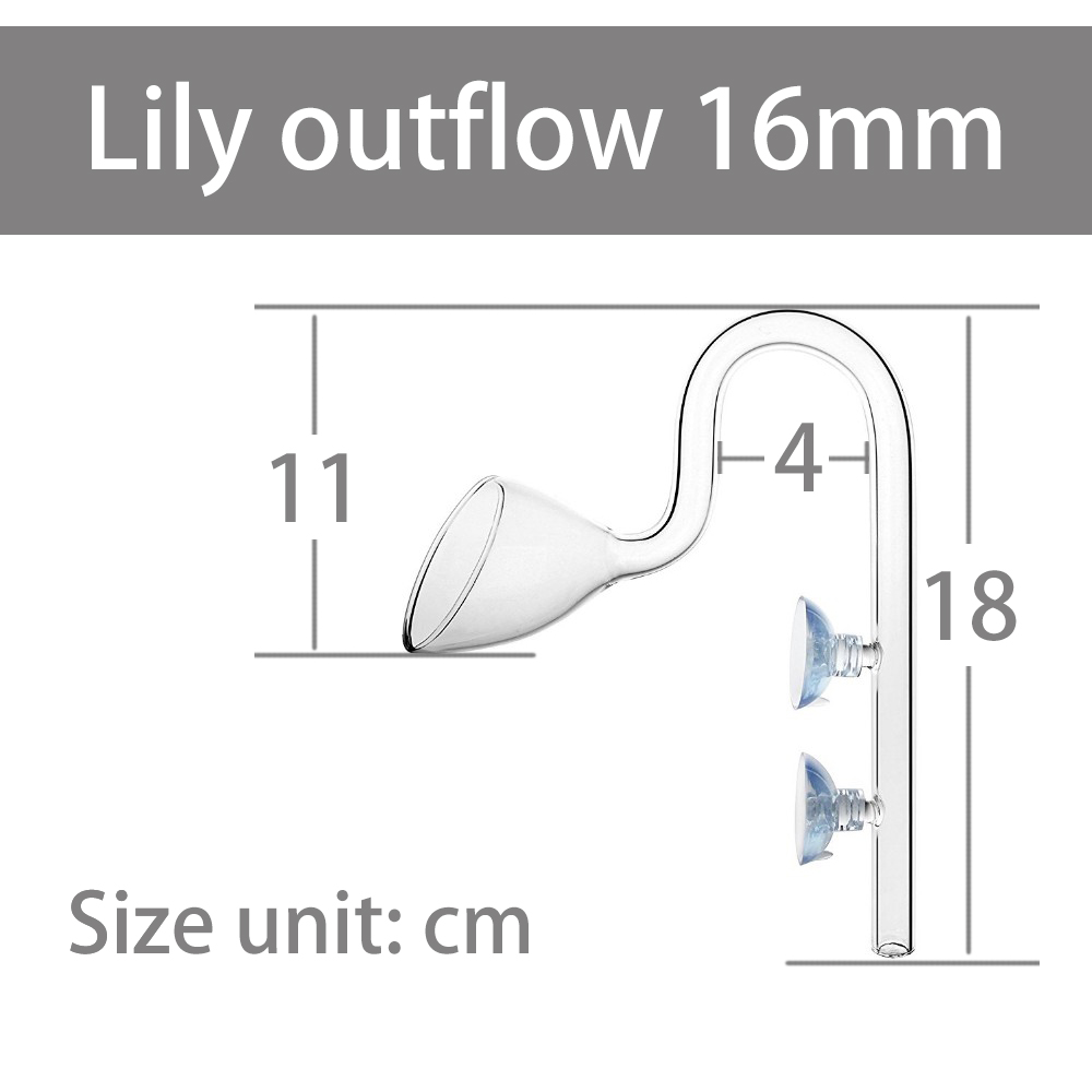 Lily sortie 16mm