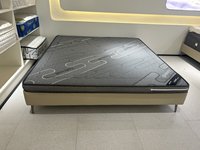 Matelas fin en fibre de coco, tissé en fibre de palmier, sans colle, écologique, soutien ergonomique rigide, taille personnalisable disponible