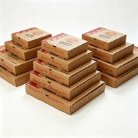 Ecologisch verantwoorde, op maat bedrukte, met spons gevoerde, stevige golfkartonnen, voedselveilige, wegwerp pizzadozen, groothandel levering