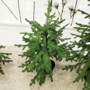 120CM/150CM/180CM Cyprès Artificiel Chauve pour Décorations de Noël Faux Cyprès des Marais Arbre de Noël - Product Image 3