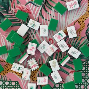 Customized 160 Piece Multi Layered American-style <b>Mahjong</b> Palm Leaf Hand Painted Foldable Eco-Friendly Modern Acrylic Tile <b>Set</b> - Product Image 1