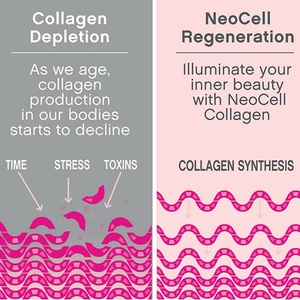 Comprimés de collagène avec vitamine C et biotine, 360 unités, sans OGM, favorisent la croissance des cheveux, l'éclat de la peau, la force des ongles et la santé des os - Product Image 6
