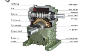 Réducteur à vitesse unique à vis sans fin et à vis sans fin en bronze série WP originale personnalisable - Product Image 3