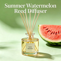 Diffuseur personnalisable en gros, ensemble cadeau diffuseur à bâtonnets parfum pastèque d'été, écologique