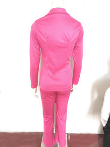 Manufaktur Custom Style oder Logo ODM Damen formelle Business-Anzug-Sets Formelle Büro kleidung 2-teilige Blazer-Hosen-Sets - Product Image 5