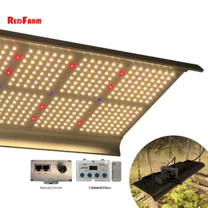 Redfarm عالية الكفاءة 240w غرفة مساعدة لنمو الفطر أضواء led سامسونج lm301b lm301h lm561c الطيف الكامل للزراعة في الأماكن المغلقة