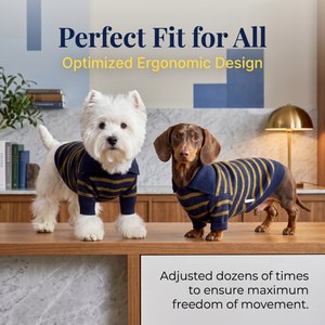 Pull pour chien de Noël, nouveau modèle hiver-automne, luxueux, festif, à blocs de couleurs, rayé, col roulé, épais, chaud, résistant aux poils de chien et aux insectes - Product Image 3