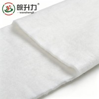 WSL Tissu géotextile largement utilisé pour le renforcement des sols, la protection des pentes et l'aménagement paysager urbain, avec filament anti-vieillissement