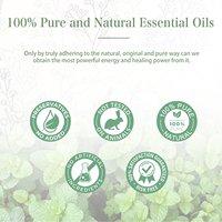 Huile essentielle pour arbre à thé, contenance de 30ML, vente en gros, 100% Pure plante, stérilisateur d'air, pour diffuseur d'arôme