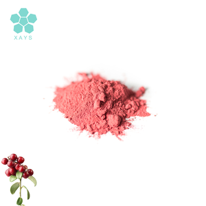 C High Quality <strong>Acerola</strong> <strong>Cherry</strong> Extract Powder - Product Image 3