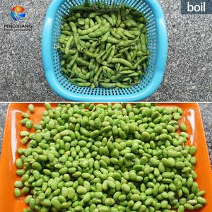 Thương Mại Tươi Luộc Rộng Đậu (Edamame)-Vỏ Màu Xanh Lá Cây Đậu Tương Tươi Đậu Huller Máy Trái Cây Và Rau Máy Lột - Product Image 2