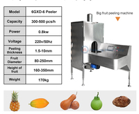 RVS Fruit & Groente Schilmachine Appel Citroen Peer Perzik Sinaasappel Persimmon Schil- en Ontvellingmachine