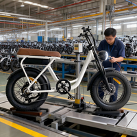 Vélo de montagne électrique à pneus larges de 20 pouces, batterie au lithium 48V sans balais, frein à disque, moteur à moyeu arrière, cadre en acier