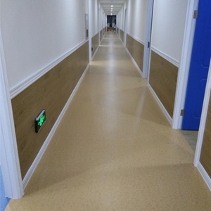 Rollo <span class=keywords><strong>de</strong></span> Suelo Vinílico <span class=keywords><strong>de</strong></span> PVC Antibacteriano <span class=keywords><strong>de</strong></span> Grado Hospitalario para Hospitales - Product Image 4