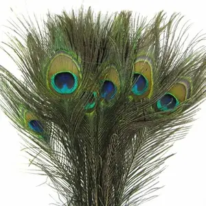 Wholesale beautiful peacock wing feathers DIY Crafts Decorative