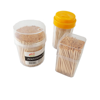 Bouteille de cure-dents en bois de bouleau biodégradable, jetable, écologique, au design personnalisé, aromatisée à la menthe, pour le nettoyage des dents