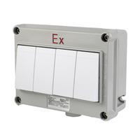 Interruptor de Pared ATEX a Prueba de Explosiones y Anticorrosión, Interruptor de Pared Táctil
