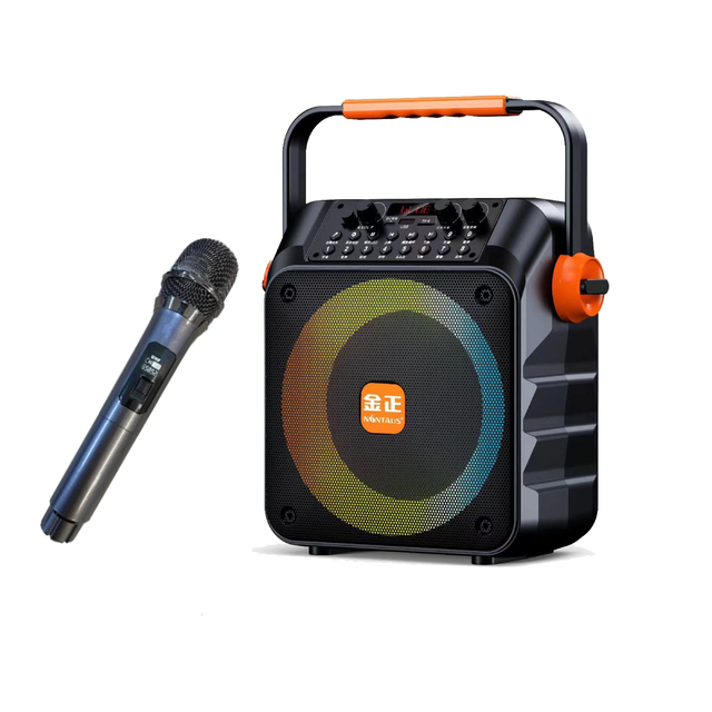 Portable Karaoke Machine with Two Wireless Microphones for Adults & Kids,  LED Lights for AUX In, FM, REC,TWS