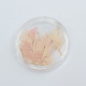 M045 <span class=keywords><strong>fiori</strong></span> in <span class=keywords><strong>fiordaliso</strong></span> naturale <span class=keywords><strong>fiori</strong></span> <span class=keywords><strong>fiori</strong></span> <span class=keywords><strong>fiori</strong></span> <span class=keywords><strong>fiori</strong></span> <span class=keywords><strong>fiori</strong></span> <span class=keywords><strong>fiori</strong></span> <span class=keywords><strong>fiori</strong></span> per Nail artigianato creazione di gioielli gioielli cornice in resina minimo 50 pz pasqua - Product Image 6