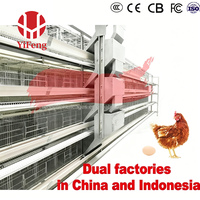 Cage à poules pondeuses automatique de type H à 3 niveaux en acier galvanisé avec système d'alimentation, d'abreuvement et de ramassage des excréments OEM