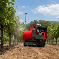 Alat Penyemprot Pestisida Kebun & Kebun Anggur Remote Control Crawler 100L 200L 300L Air Blast Sprayer dengan Mesin Loncin