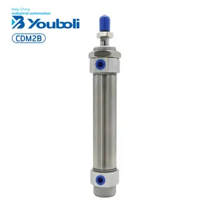 YBL CDM2Bミニ20/25/32/40mmダブルアクションラウンドエアシリンダーステンレス鋼空気圧部品小型で効率的