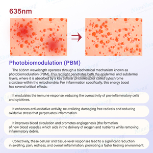 Niansheng Fabricantes Mayoristas, Jabón Ecológico Más Vendido 980 1470 Nm, Uso en Salón, Guangdong, China - Product Image 2