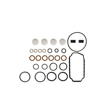 Wholesale Diesel Fuel Injection Pump Repair Kit 096010-0630 With High Quality