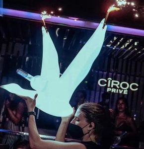 Independiente champán <span class=keywords><strong>whisky</strong></span> vodka gris ganso servicio signo LED botella presentador para fiesta de club nocturno - Product Image 3