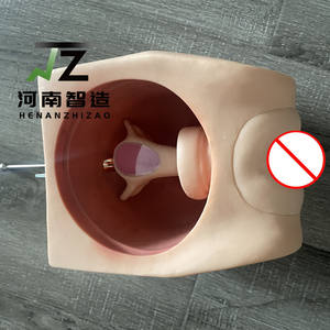 Modèle de formation avancé pour la pratique de la contraception féminine, mannequin d'entraînement au DIU grandeur nature en PVC, certifié CE ISO pour usage médical - Product Image 3