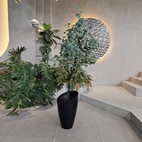 Jardinières modernes minimalistes noires avec topiaire circulaire verte pour la décoration intérieure