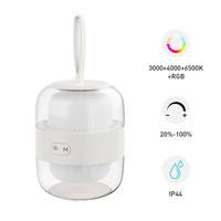 Lampe de chevet moderne rechargeable, lampe de table, lumière RGB pour chambre à coucher, lampe d'ambiance de nuit, éclairage intérieur, corps de lampe personnalisable