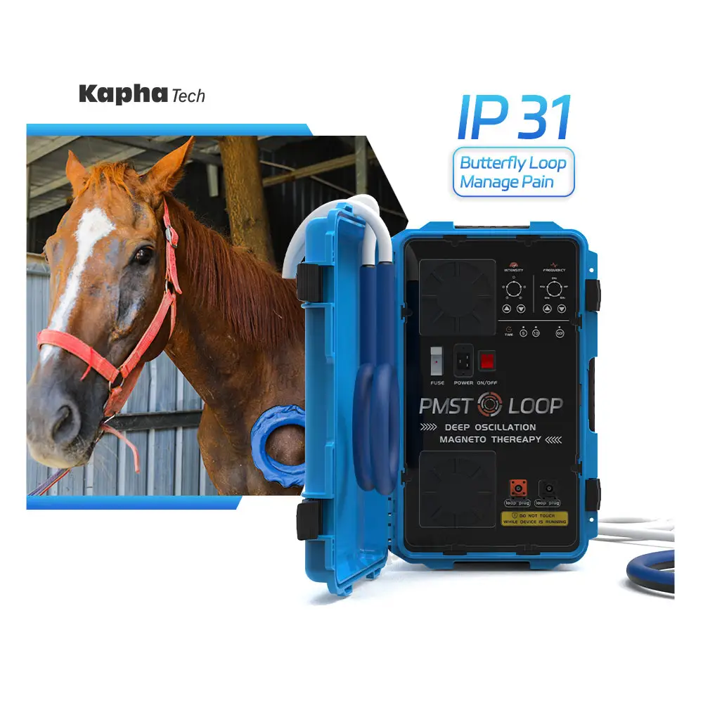 Kapha Magnetto טיפול סוס pmst לולאה pemf לולאה pemf לולאה סוס כאב הקלה מכונת עזרה לשחזר מהר