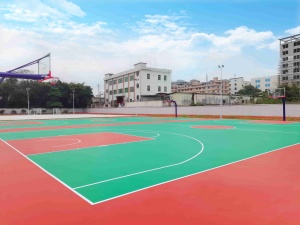 INOLP Antibacterial Silicona PU Corte Molde Prevención Control de olores para baloncesto en ambientes húmedos - Product Image 5