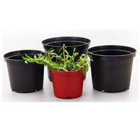Pot de fleurs en plastique résistant aux intempéries avec trou de drainage |   Pot de jardinage noir durable et écologique pour les fleurs et les légumes de la maison