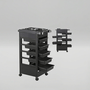 Professional Modern Plastic Beauty Salon <b>Trolley</b> with Easy -Moving Wheels for Hotel & Outdoor Use - Product Image 3