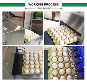 Impresora de huevos, impresora de inyección de tinta de cáscara de pollo fresco/máquina de estampado de código de barras de huevo/codificador de letras de huevo - Product Image 2