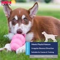 Jouet classique en caoutchouc pour chien, distributeur de friandises en forme de gourde, durable et résistant aux morsures, pour l'entraînement des chiots et des chiens adultes
