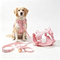 Sangle imprimée résistante à l'eau en TPU, ruban personnalisé avec logo, sangle en nylon enduit de PVC imperméable pour la fabrication de colliers pour chiens, sacs à dos et bagages